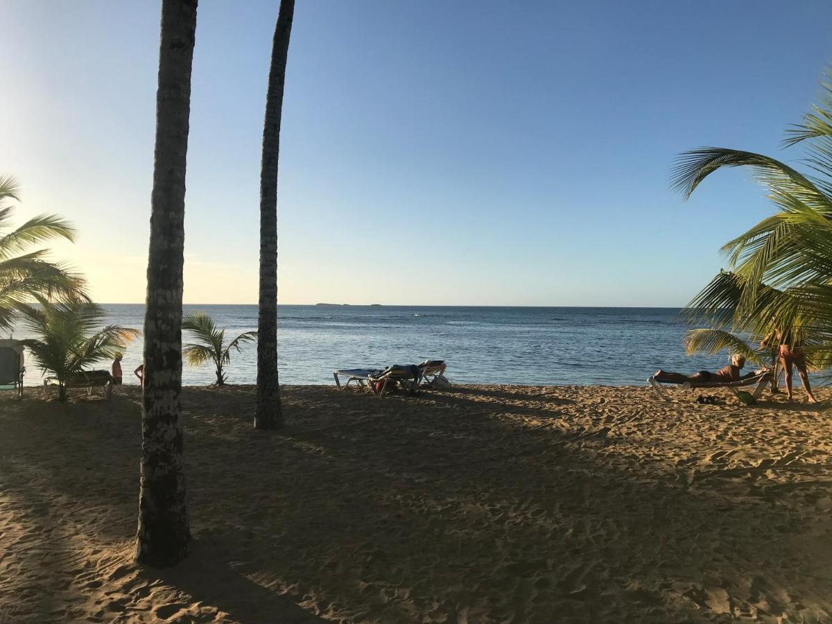Cozy Oceanfront Villa With Direct Beach Access ラス・テレナス エクステリア 写真
