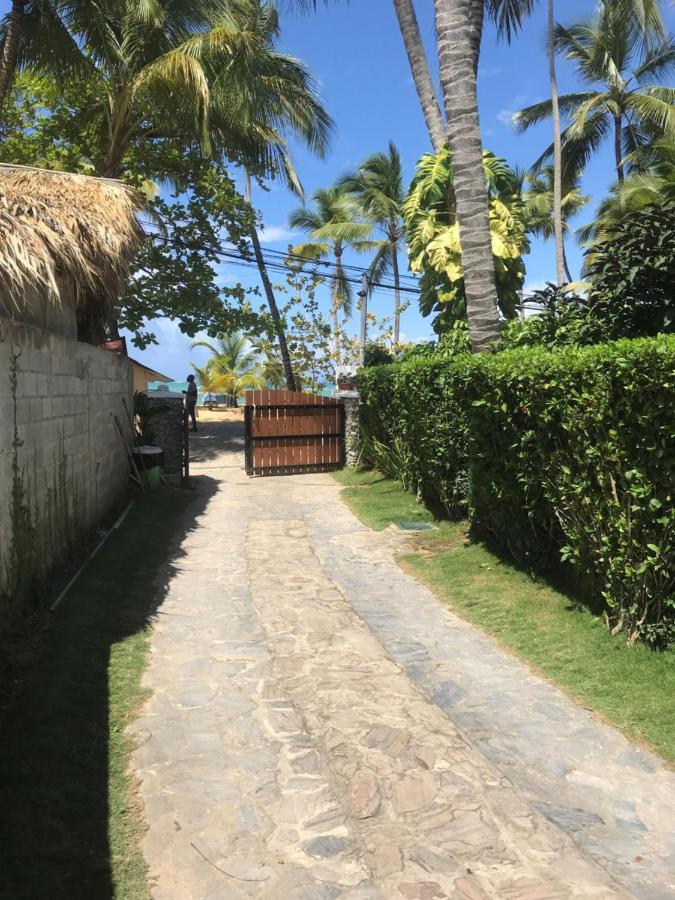 Cozy Oceanfront Villa With Direct Beach Access ラス・テレナス エクステリア 写真